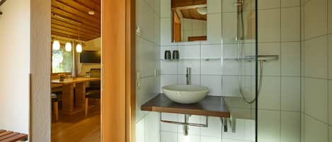 Shower, hair dryer, toilet paper