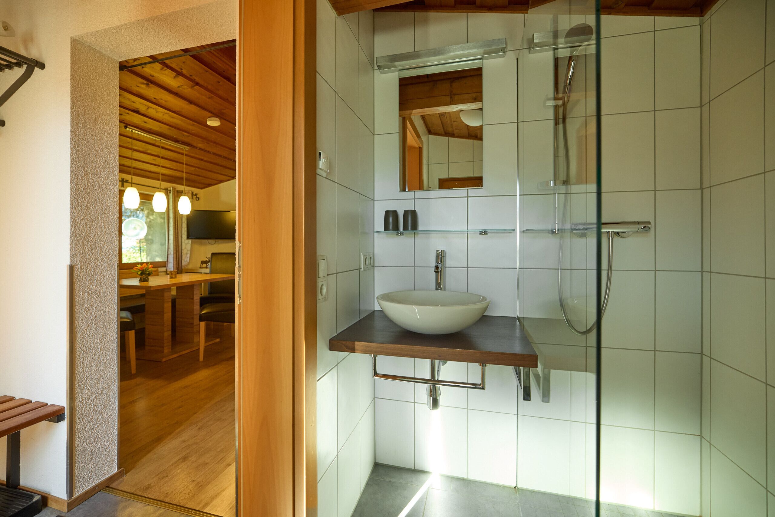 Shower, hair dryer, toilet paper