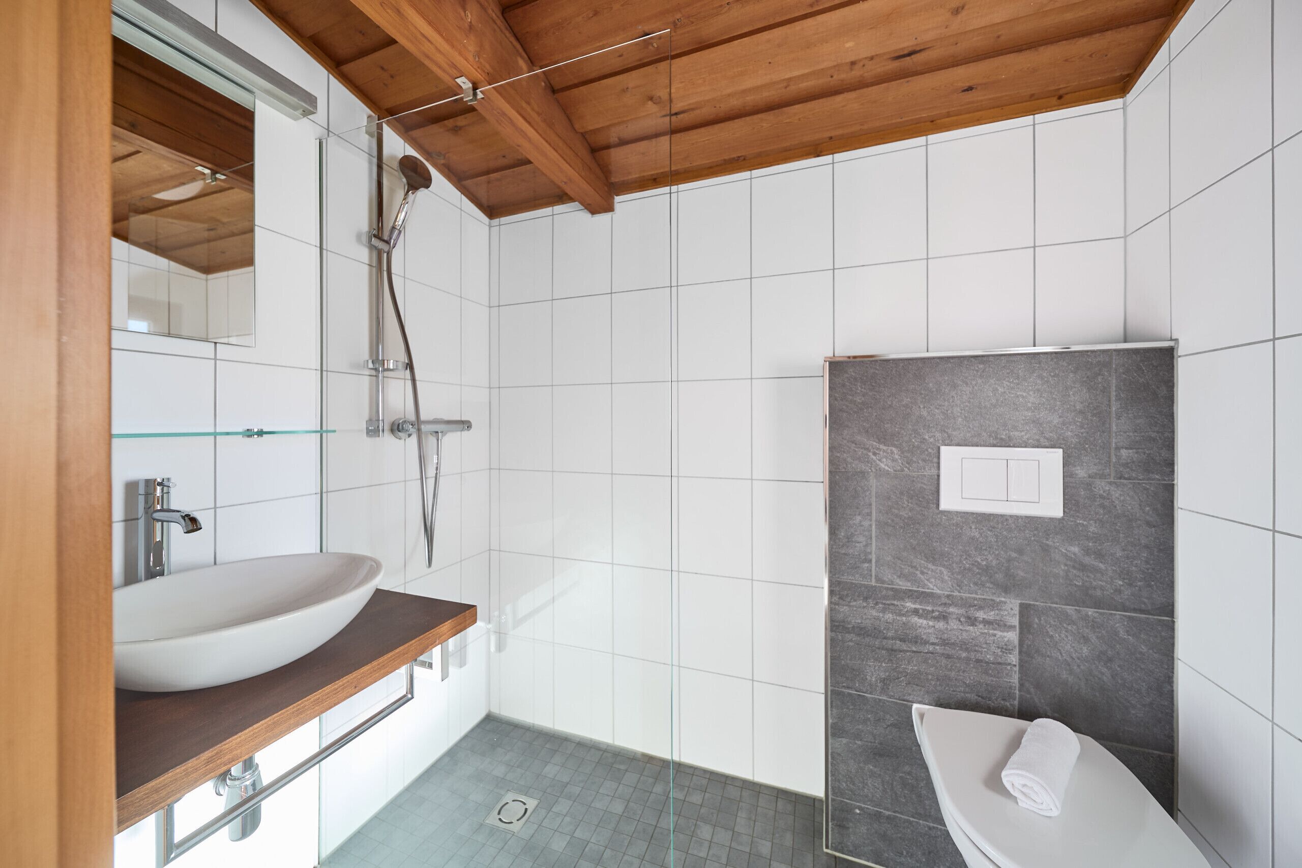 Dusche, Haartrockner, Toilettenpapier