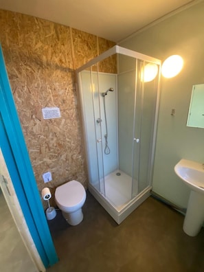 Une salle de bain avec douche, toilettes et lavabo.