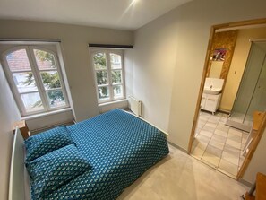 Une chambre à coucher comprenant un lit, deux fenêtres, un radiateur, une salle de bain avec un lavabo et un miroir, et une douche.