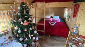 A cozy room with a wooden ceiling, a Christmas tree, a bunk bed, and a small table with a toy rabbit.