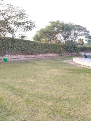 A grassy outdoor area with a hedge, a green trash bin, and a circular structure. - Wise One Choice (Noida)
