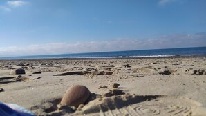 Ein sandiger Strand mit vereinzelten Felsen und freiem Blick auf den Ozean.