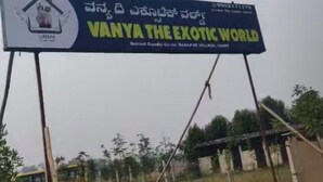 Un anuncio en vallas publicitarias de Vanya El Mundo Exótico, con logotipo y número de contacto.