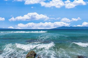 Beach - Spectacular Direct Oceanfront  Don't Miss Out! (Lahaina)