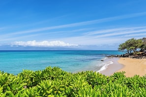 On the beach - Seashore Stunning Studio with AC!! (Lahaina)