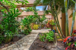Property grounds - Cozy Maui Studio with Stunning Mountain Views (Lahaina)