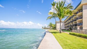 Property grounds - NEW UNIT Wake Up to Sprawling Views w/ AC (Lahaina)