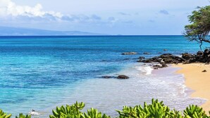Une plage à l’eau d’un bleu limpide, avec un rivage rocheux et une végétation verdoyante.