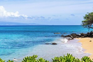 On the beach - Coastal Elegance: A Fresh Oceanfront Gem (Lahaina)
