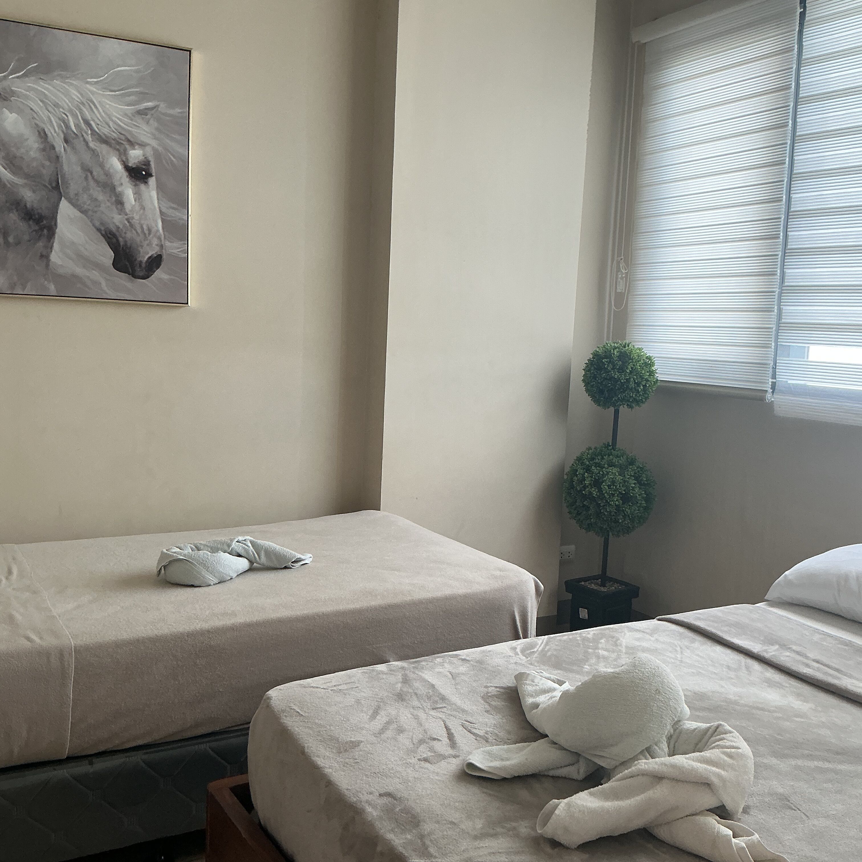 1 bedroom, internet, bed sheets, wheelchair access