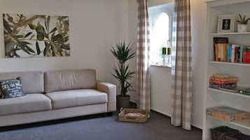 TV, fireplace, DVD player