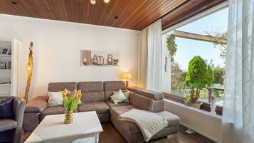 TV, fireplace, DVD player