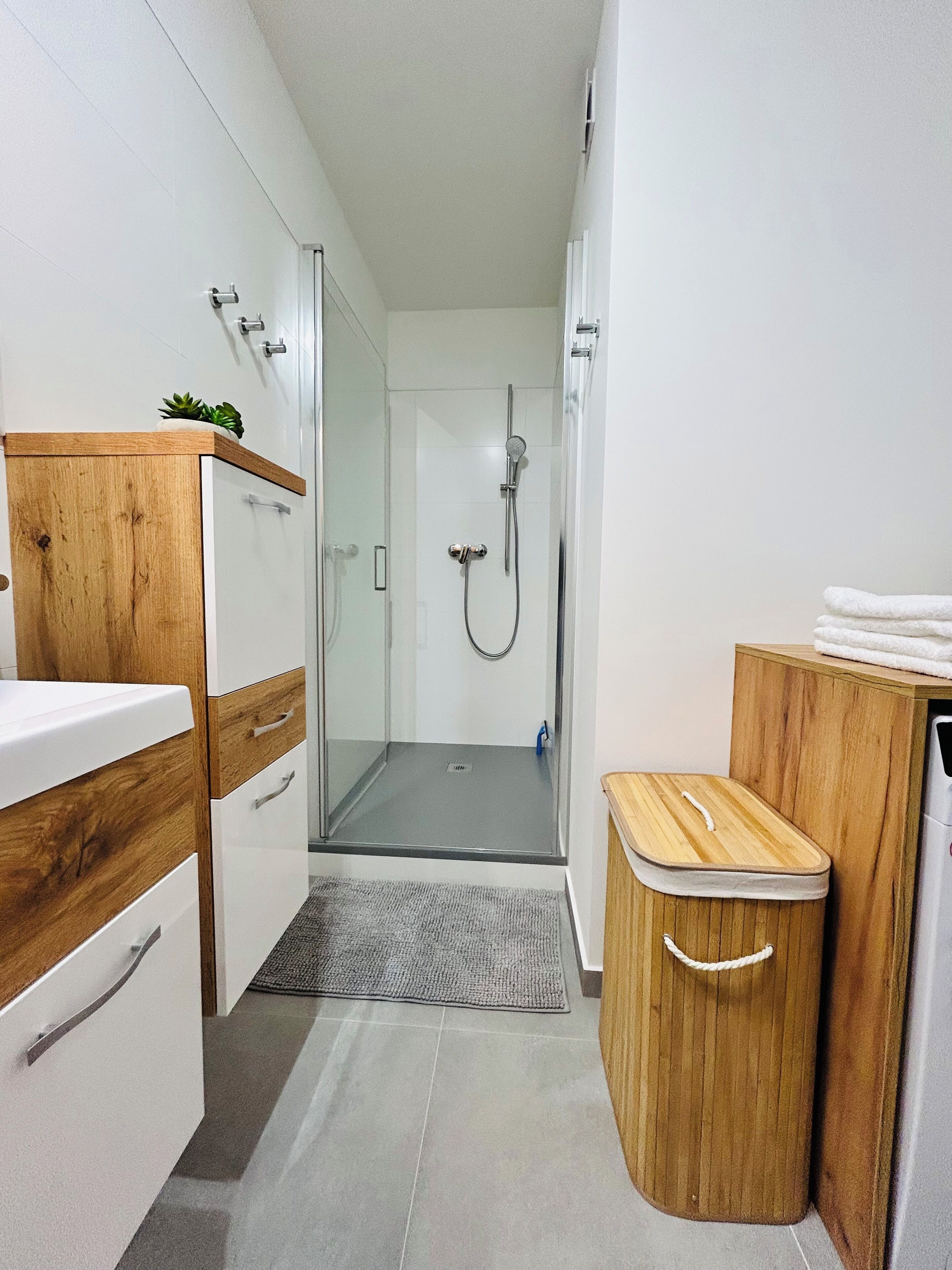 Shower, hair dryer, towels, toilet paper