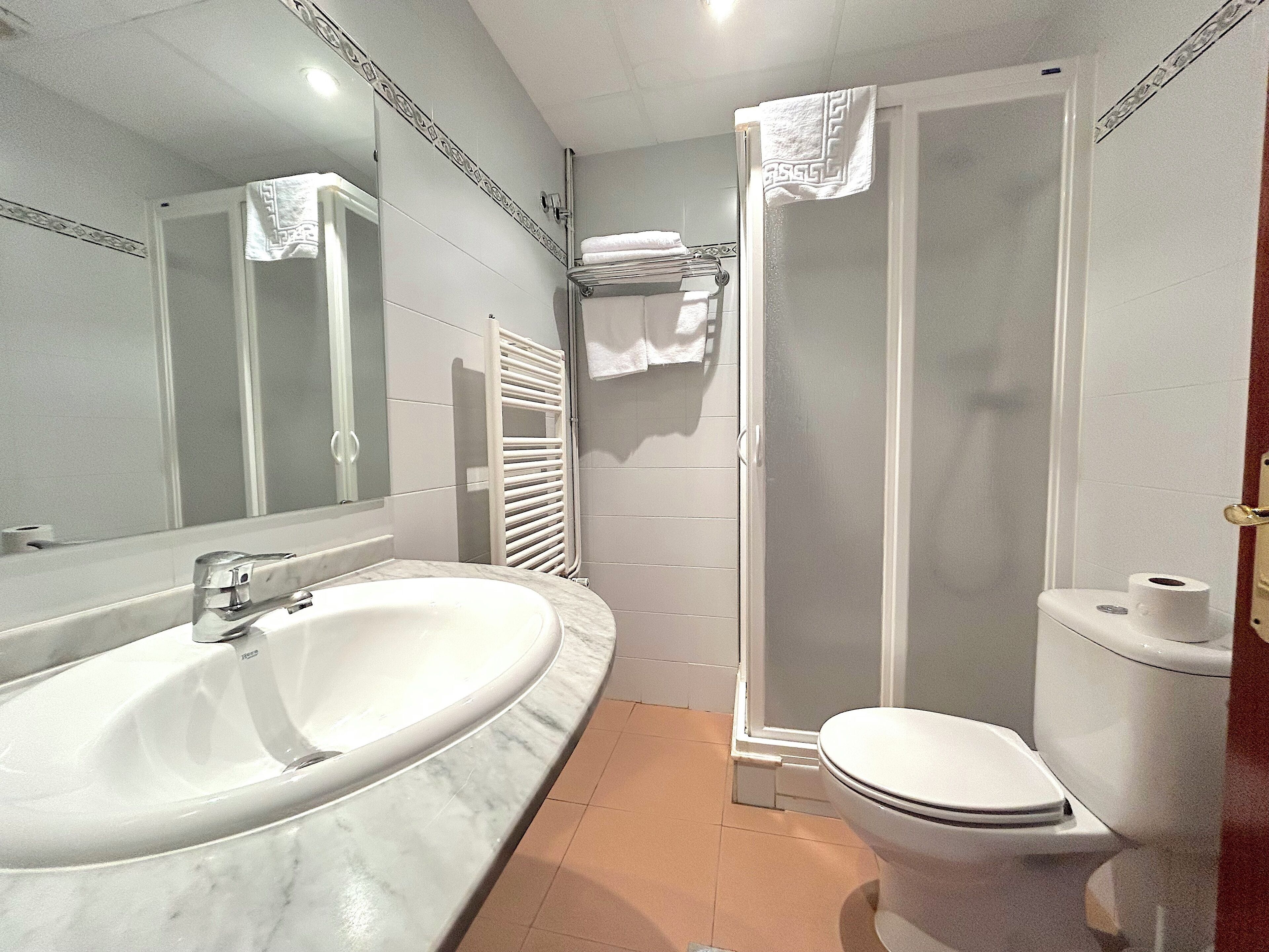 Une salle de bain avec un grand lavabo, des toilettes et une douche.