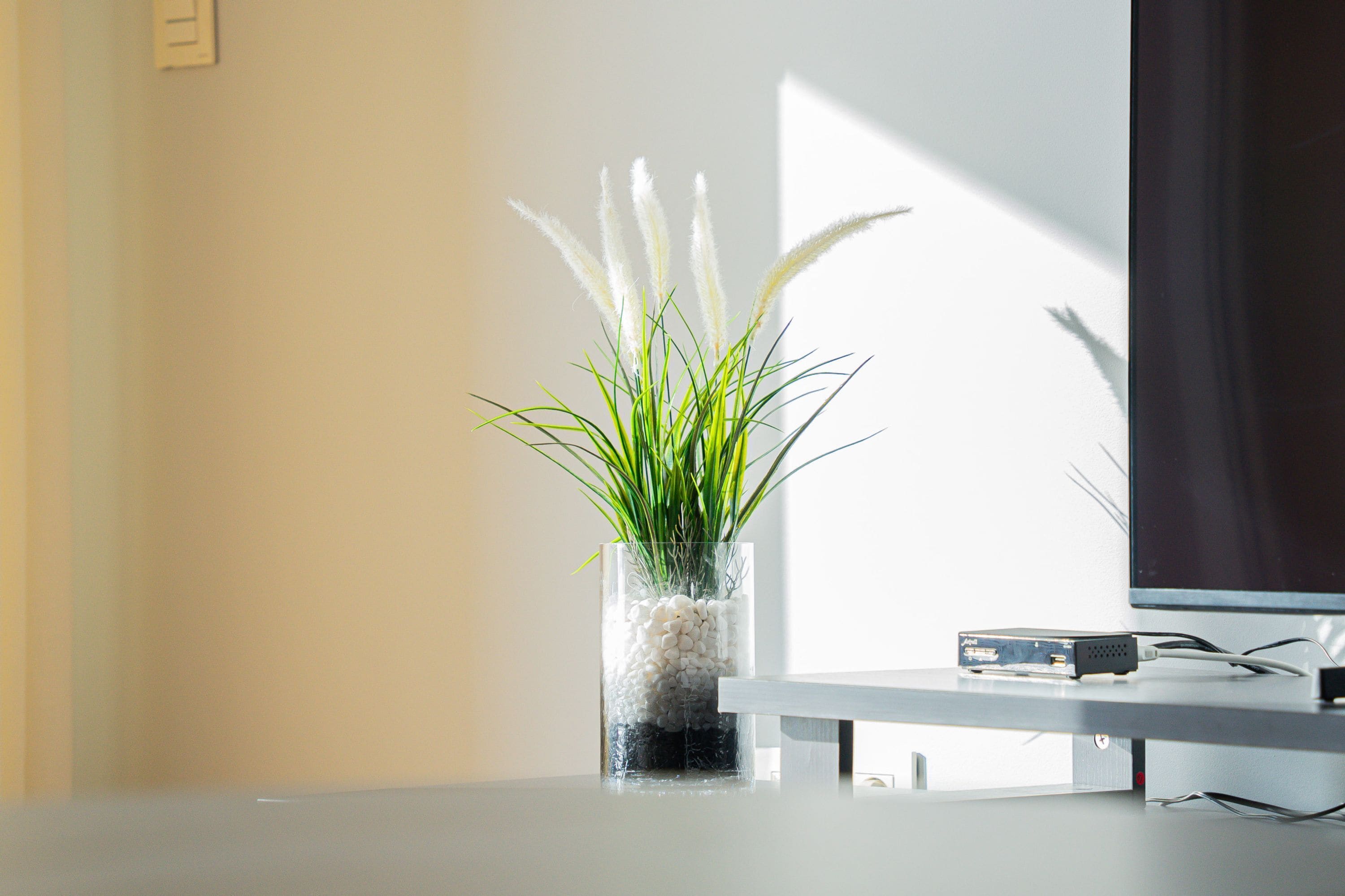 Apartment | 3 bedrooms