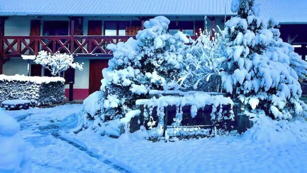 Un edificio con techo nevado y fachada roja. Un arbusto cubierto de nieve se observa al frente.