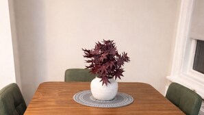 Une table carrée en bois sur laquelle est posé un vase blanc contenant une plante, entourée de quatre chaises vertes aux pieds noirs et dorés.