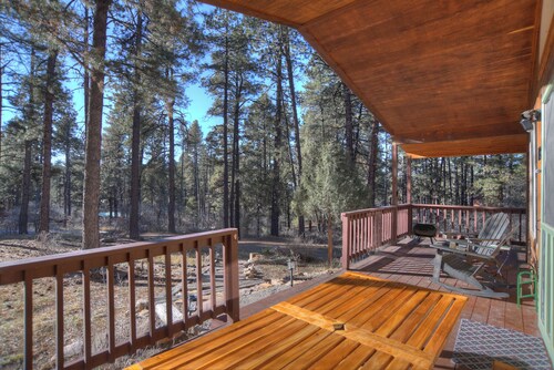 New Listing! Forest Lake Hideout | Private Cabin Surrounded by Pines | Deck