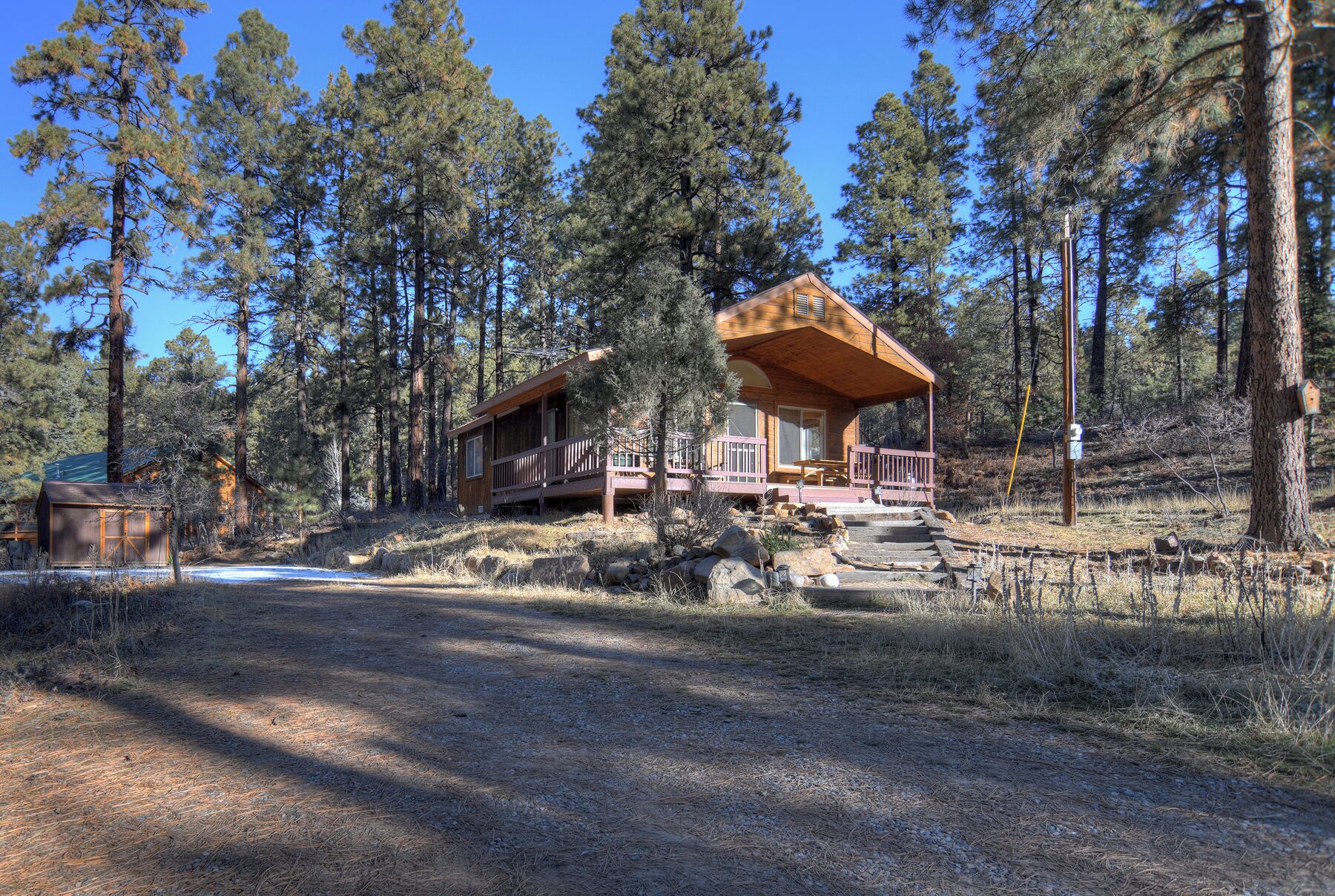 A cabin with a wooden deck and a covered porch, surrounded by tall pine trees.