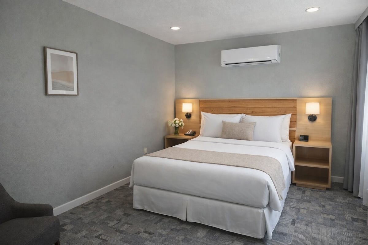Una habitación de hotel con una cama grande, dos mesitas de noche, un equipo de aire acondicionado y un cuadro en la pared.
