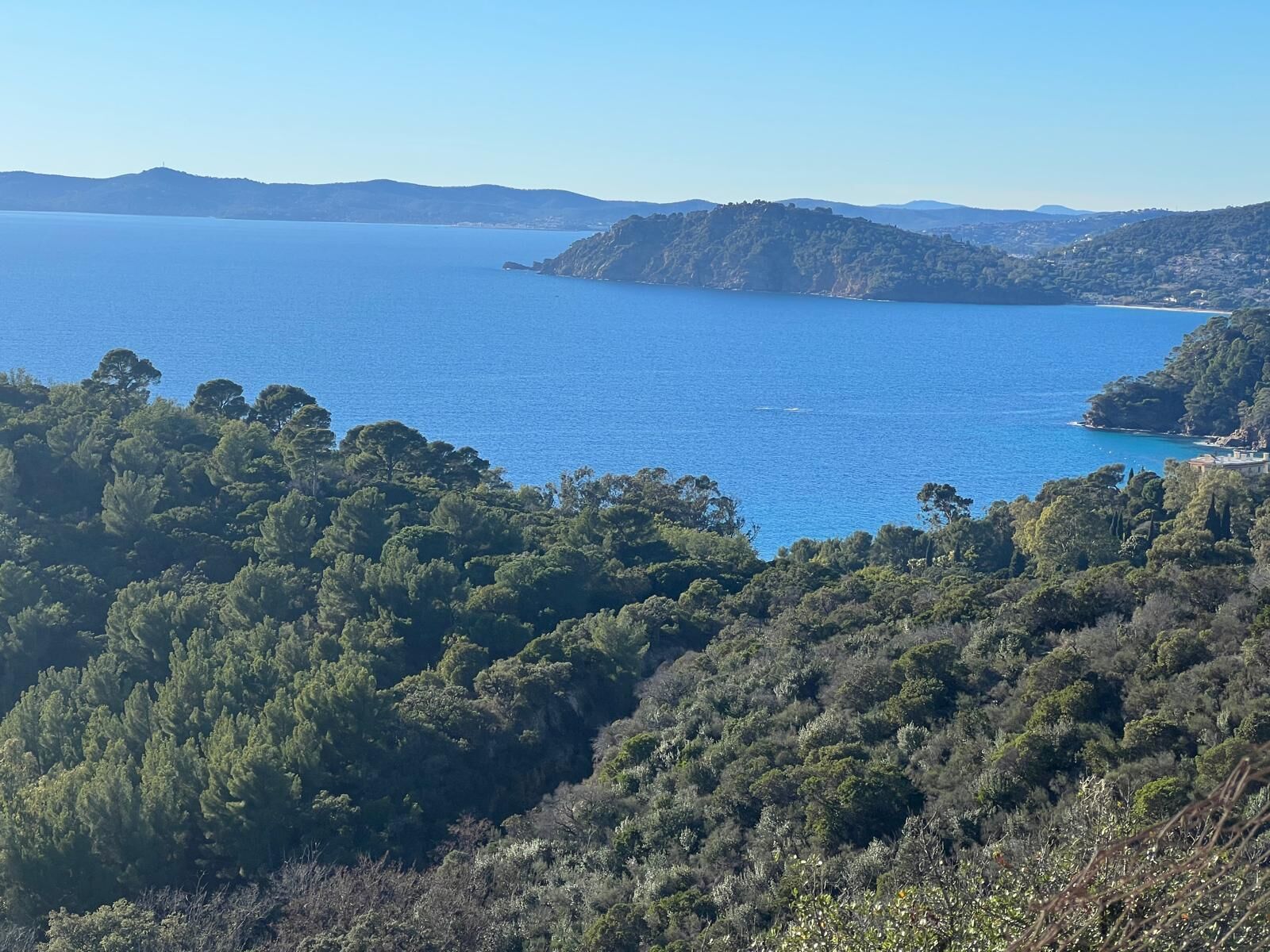 A coastal landscape with dense forested hills and a clear view of the sea.