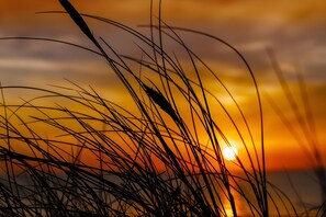 Miscellaneous - Sophienhof Farmhouse with Private Terrace, Garden & Wi-Fi (Kronprinzenkoog)