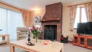 A cozy living room with a fireplace, a sofa, a coffee table with snacks and drinks, and a television on a wooden cabinet. - Pasture View (Whitby)