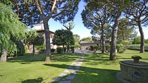 A stone pathway leading to a building with a tiled roof, surrounded by trees and well-maintained grass. - Casa i Pini (Cortona)