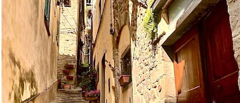 Apartment (1 Bedroom) | Front of property