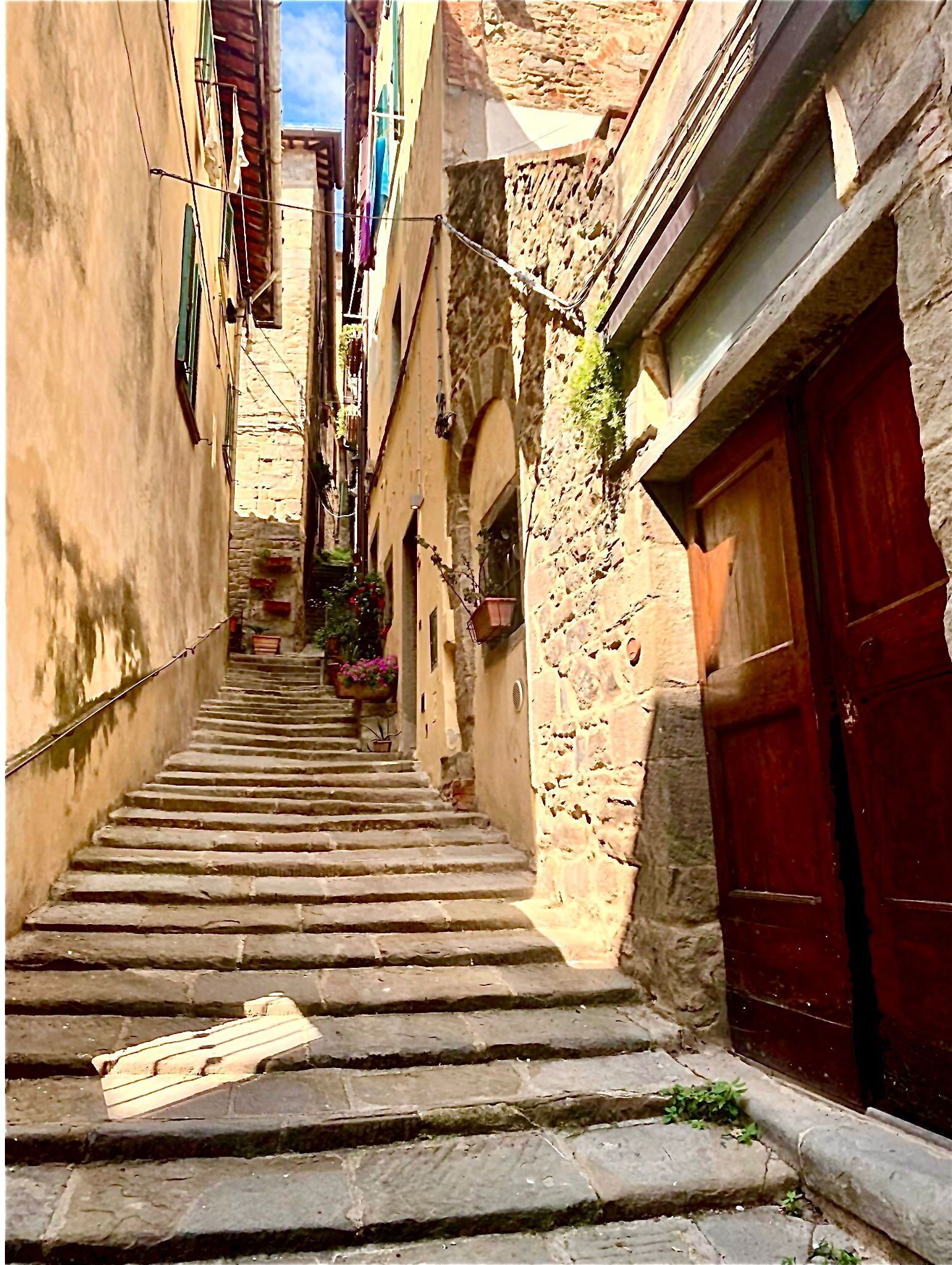 Facciata della struttura