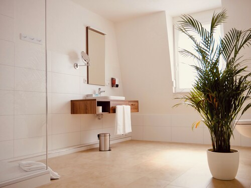 Hotel & Mühlenapartments - quiet & modern near Baden-Baden