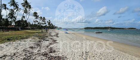 A beach with palm trees, a sandy shore, and a boat in the water.
