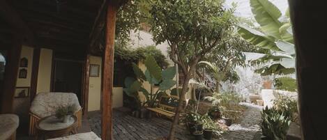 Terraza o patio