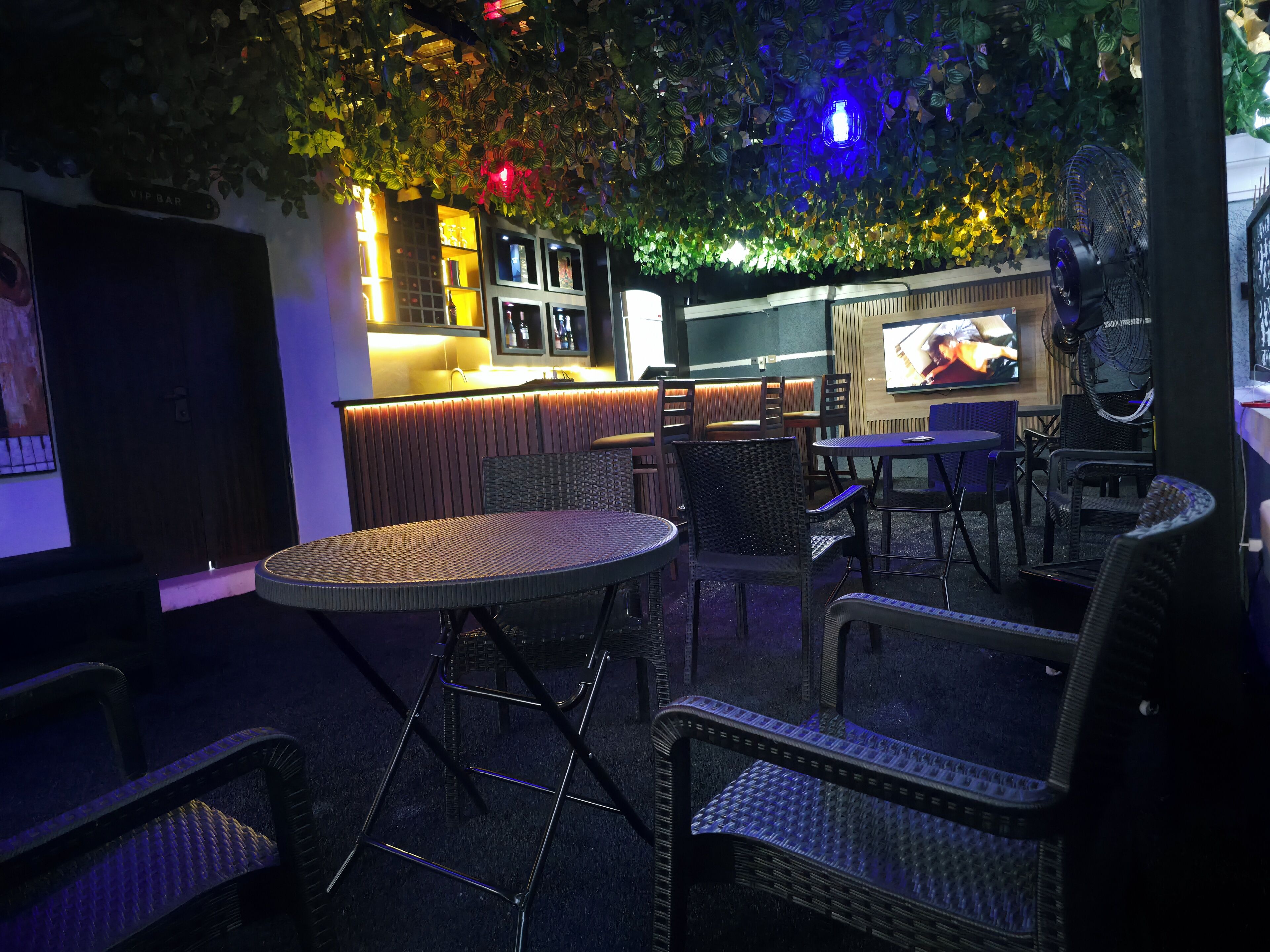 Bar (en la propiedad)