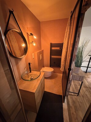 Regadera, secadora de cabello, toallas, jabón 