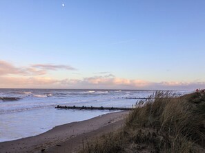 Beach nearby - Paws By The Sea (Norwich)