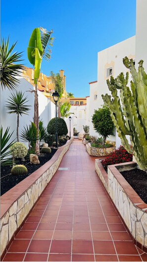 Property grounds - Stunning 2 Bedrooms Sea View Apartment • 3 Terraces/Garden • Pool (Costa Adeje)