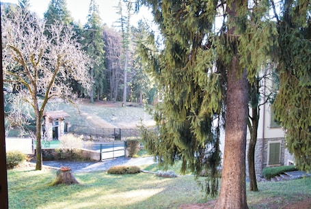 Property grounds. Casa Esino - Lake Como, Fresh Mountain Escape
