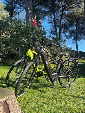 Property grounds - Holiday Travel Genius-mobile Home Base Near Pisa (Montopoli in Val d'Arno)