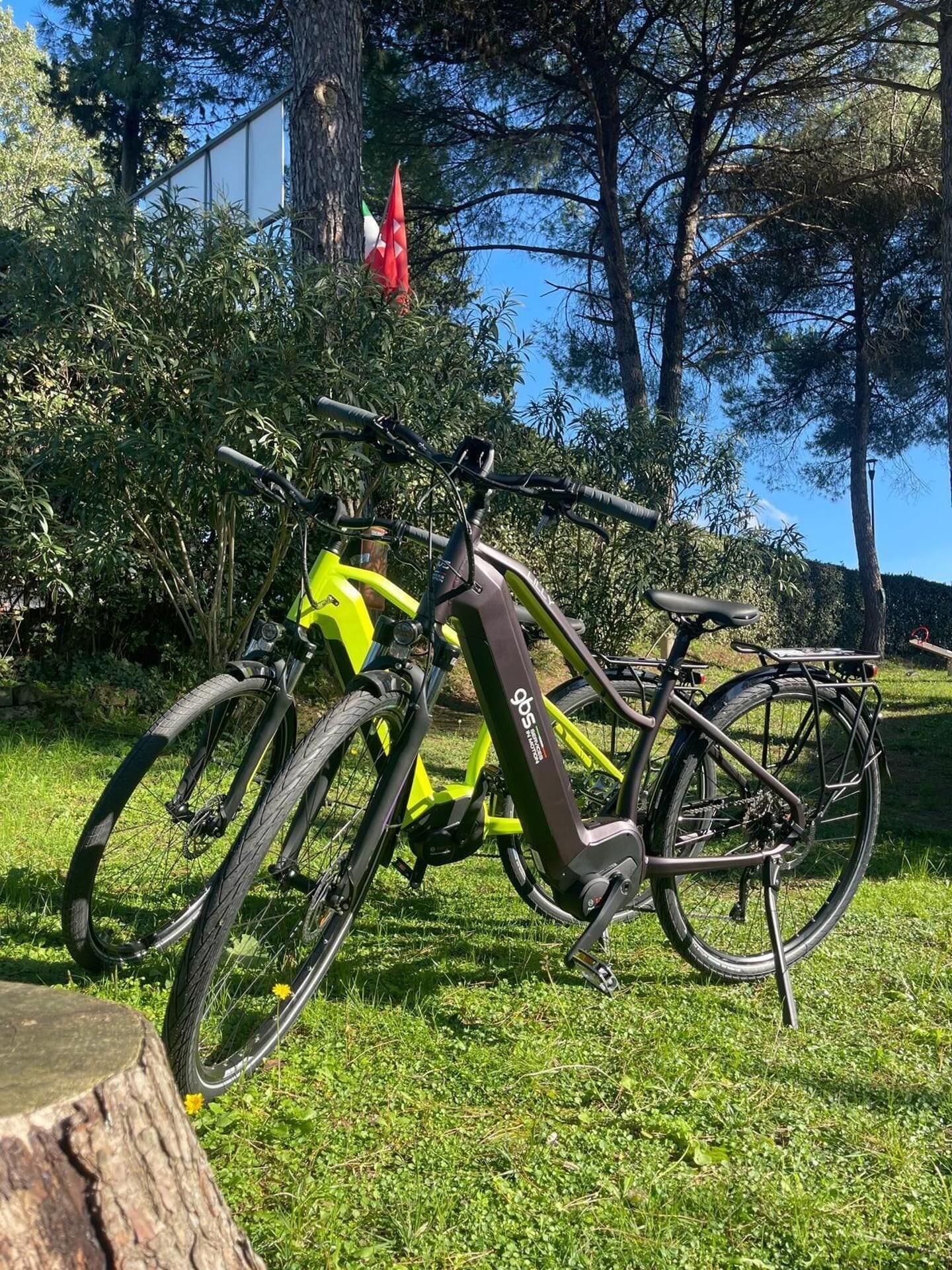 A bicycle parked on grass with trees and a flag in the background.