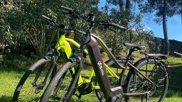 A bicycle parked on grass with trees and a flag in the background.