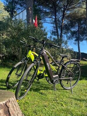 A bicycle parked on grass with trees and a flag in the background. - Holiday Travel Genius-mobile Home Base Near Pisa (Montopoli in Val d'Arno)