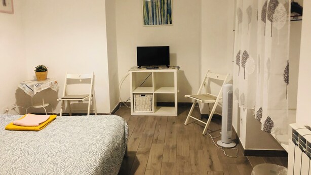 Ett hotellrum med en säng, ett skrivbord med en dator, en stol, en tv, en fläkt och ett litet bord med en växt.