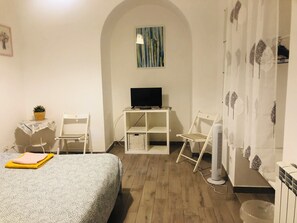 A hotel room with a bed, a desk with a computer, a chair, a TV, a fan, and a small table with a plant. - Colibri Apartment   (Roma)