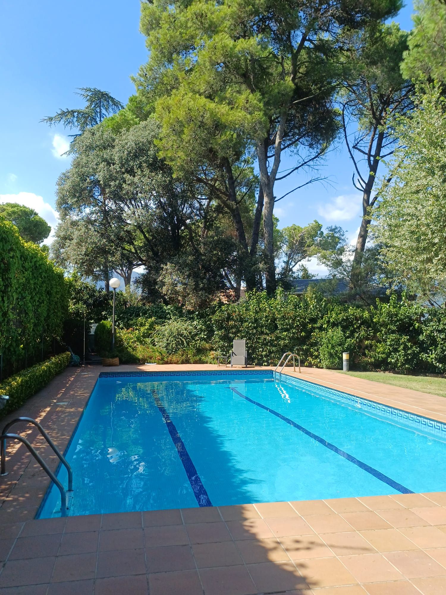 Una piscina rectangular con agua azul cristalina, rodeada por un solárium con baldosas y abundante vegetación.