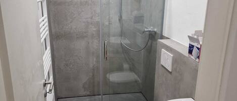Shower, hair dryer, soap, toilet paper