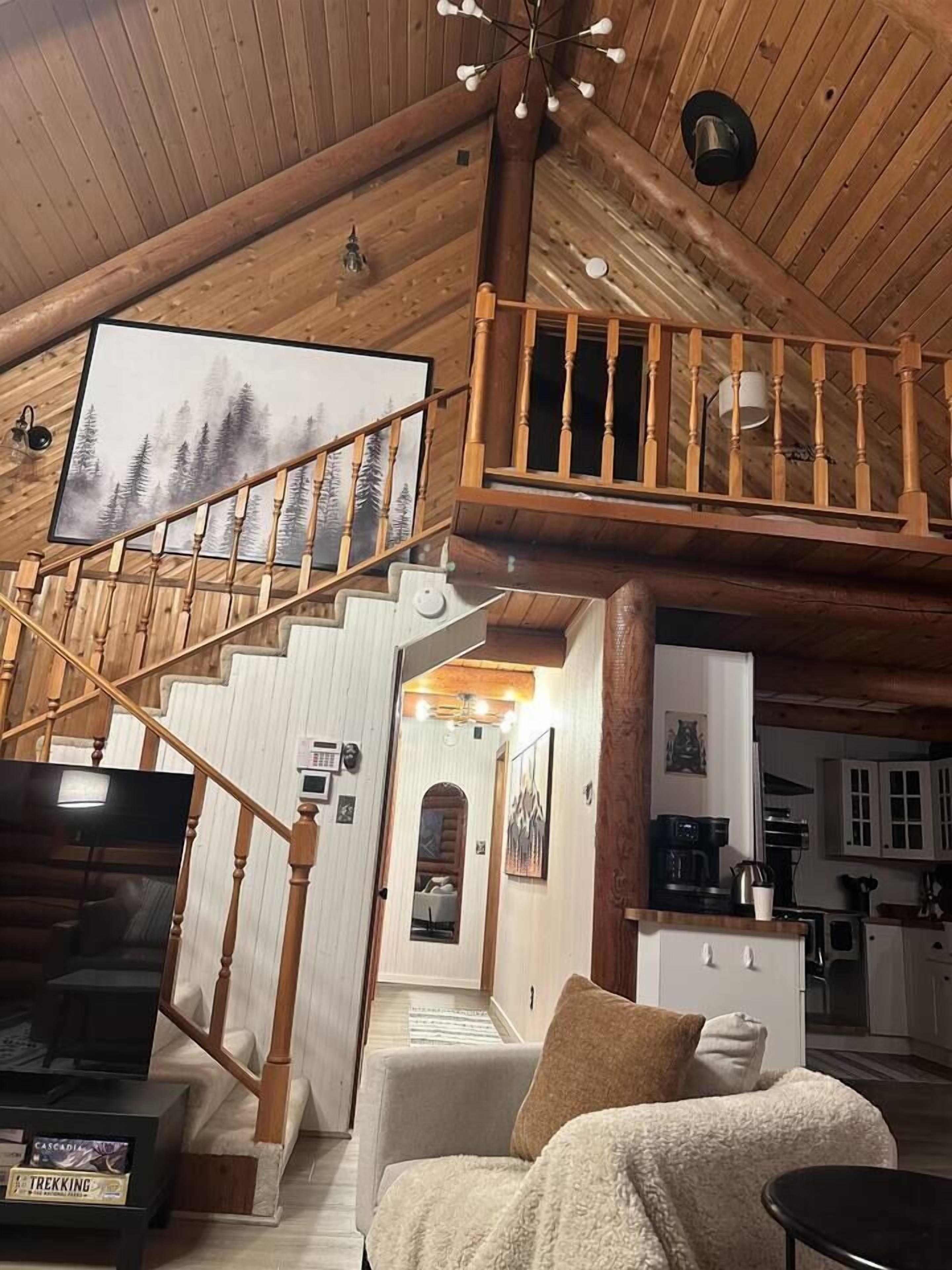 TV, fireplace, books