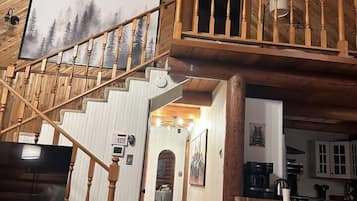 TV, fireplace, books